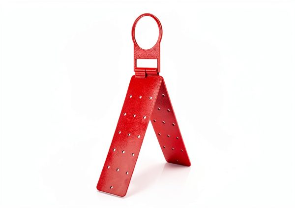 Roof Anchor 2 Pack Reusable D‑Ring Bracket by WOPPLXY Red 14‑inch-2